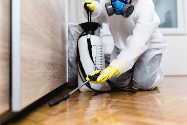 Best Pest Control Treatment  in Perryopolis, PA
