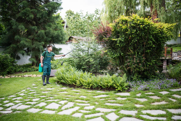 Reliable Perryopolis, PA Pest Control Solutions