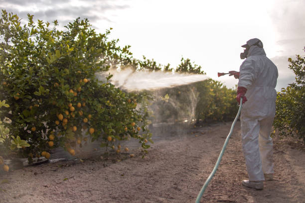 Best Commercial Pest Control Services  in Perryopolis, PA