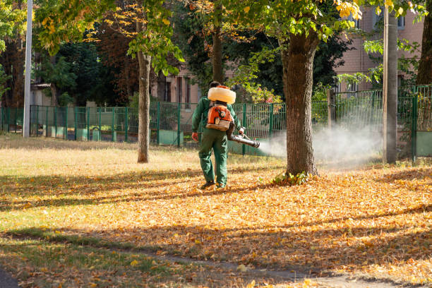 Pest Prevention Services in Perryopolis, PA