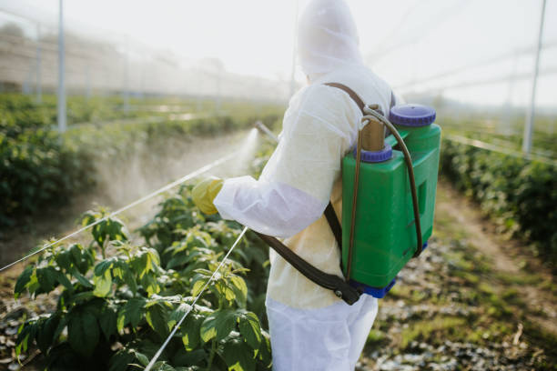  Perryopolis, PA Pest Control Pros